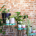 Load image into Gallery viewer, Wooden Plant Stands| Garden ornaments for Home Plants. greenwash 
